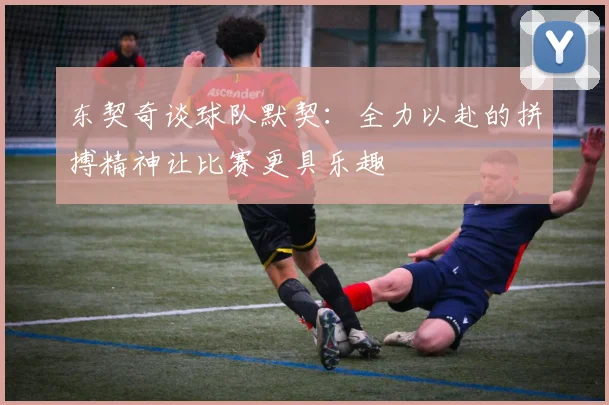 东契奇谈球队默契：全力以赴的拼搏精神让比赛更具乐趣