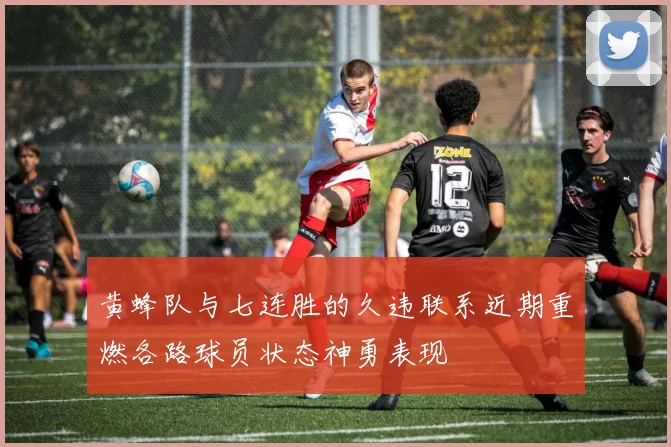 黄蜂队与七连胜的久违联系近期重燃各路球员状态神勇表现