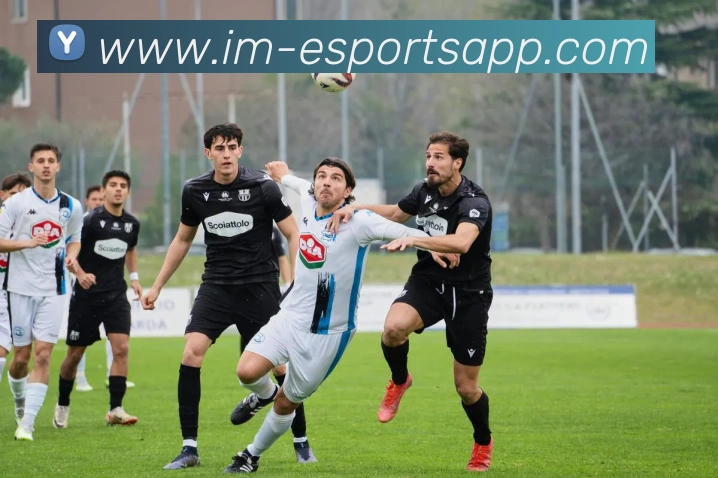 IM电竞平台生态图