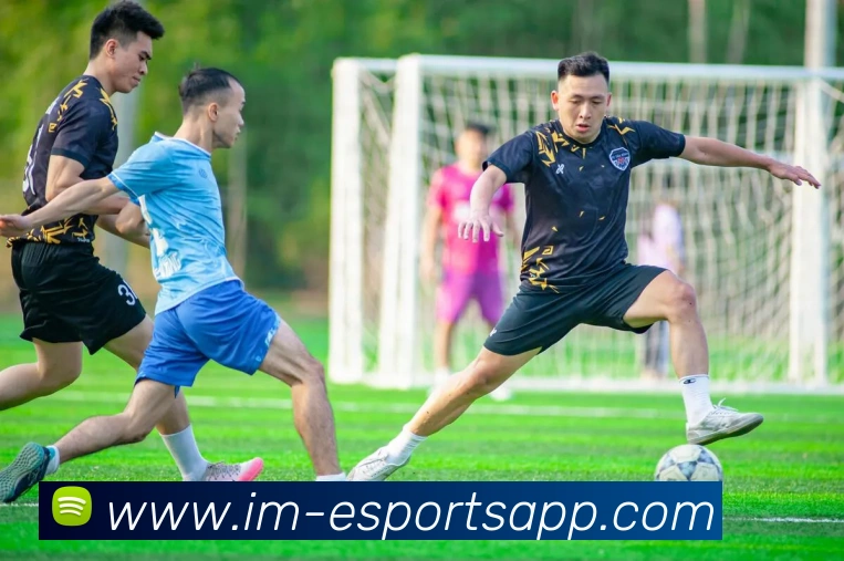 IM电竞APP 封面图